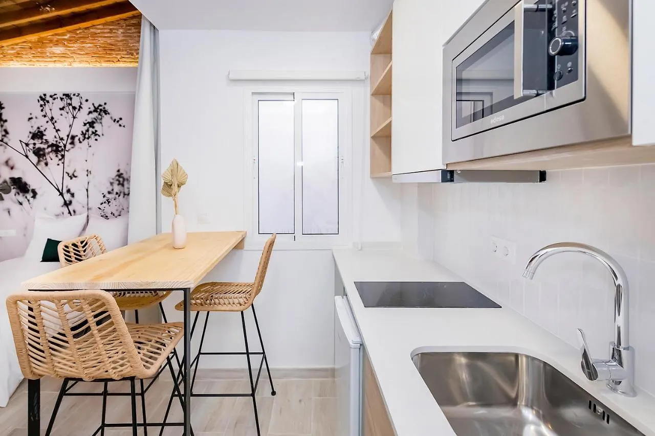 Exclusive Comedia Apartments Malaga Spain